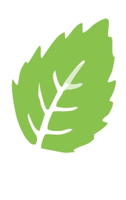 Green Ray Nexus Logo