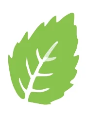 Green Ray Nexus Logo
